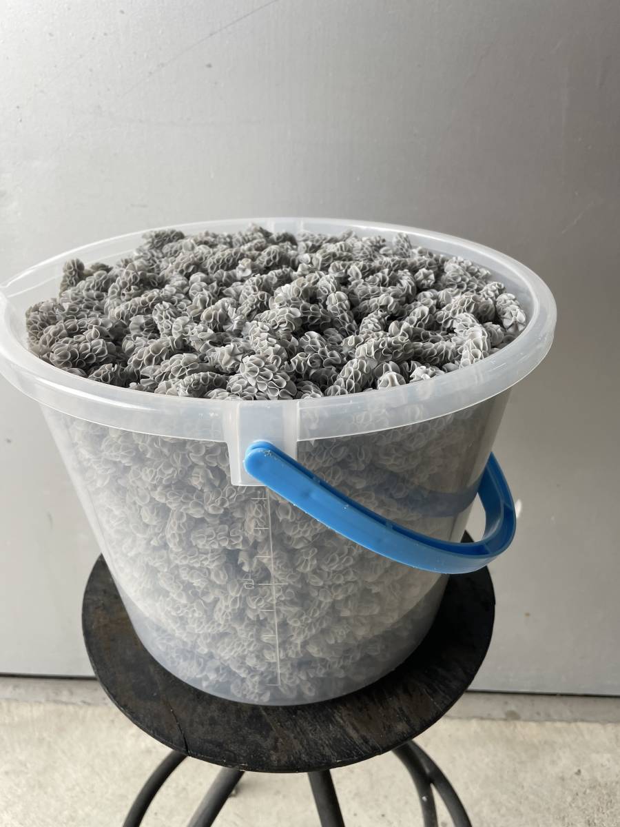 フジノスパイラル10㍑! - ペット用品 フジノスパイラル10㍑! - ペット用品