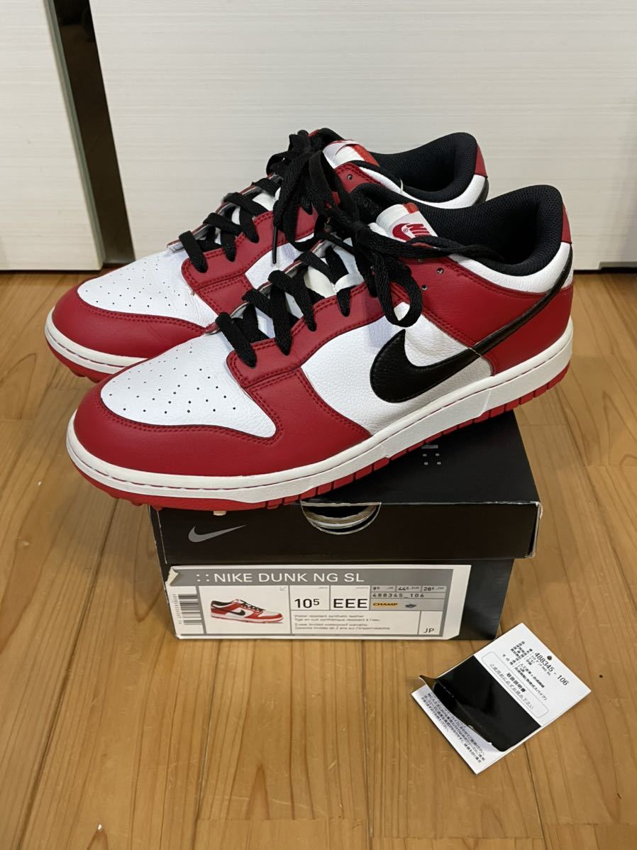 2ラウンド使用のみ 28.5㎝ 希少 レア NIKE ナイキ DUNK NG SL ダンク