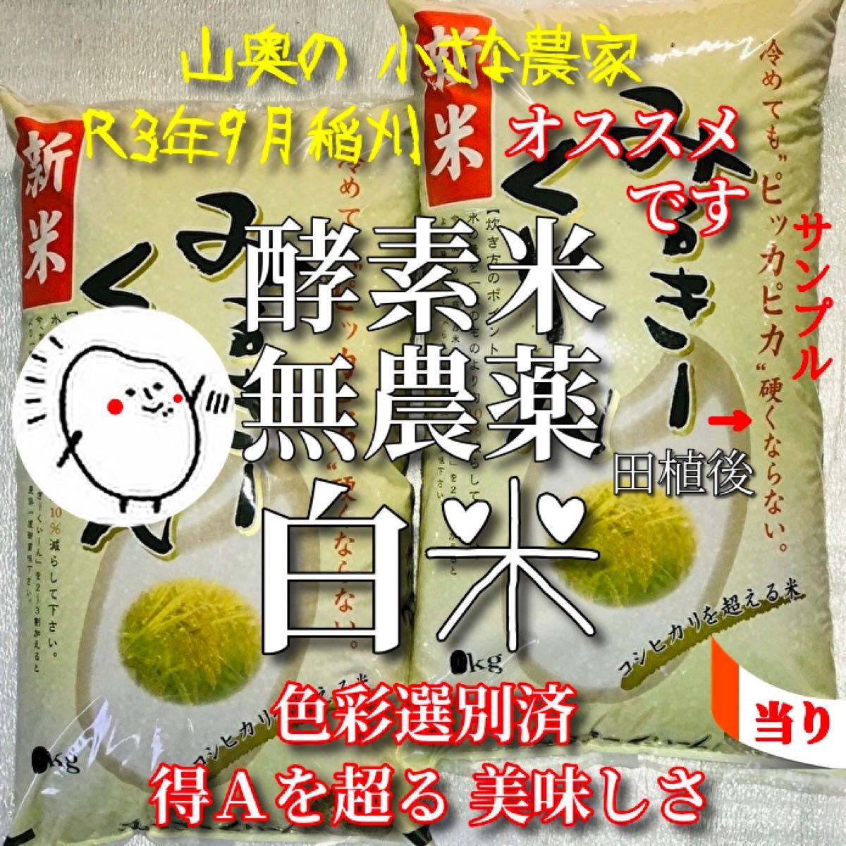 超希少】ミルキークィーン 25Kg 新米 酵素米 お米 米 玄米「標準