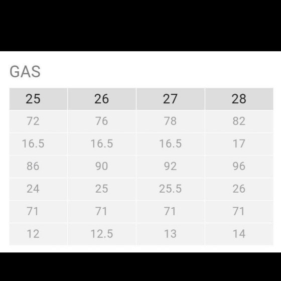 新品 GAS デニム 26 定価 25920 www.esole.eu