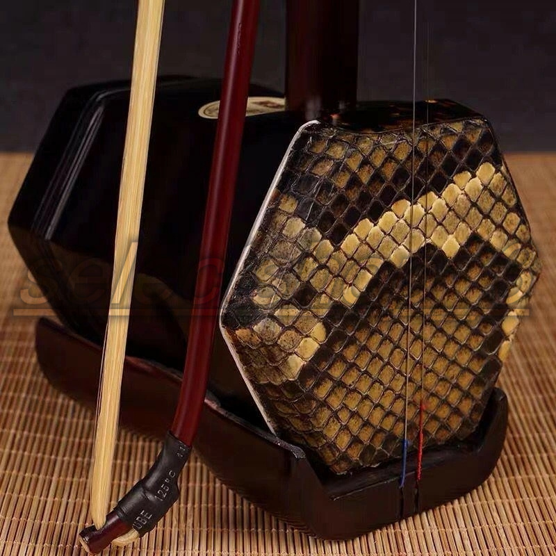珍しい 蘇州二胡 セット セミハードケース 二胡 中国 蘇州式 弦楽器