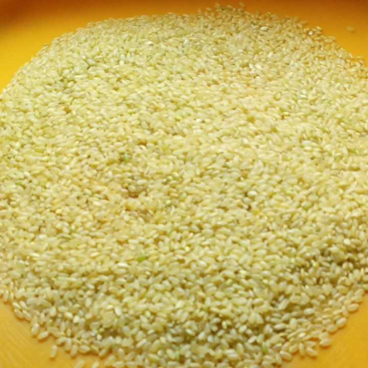 自然米（無農薬・無化学肥料・稲木干し）10kg_玄米です。もみも混じっています。