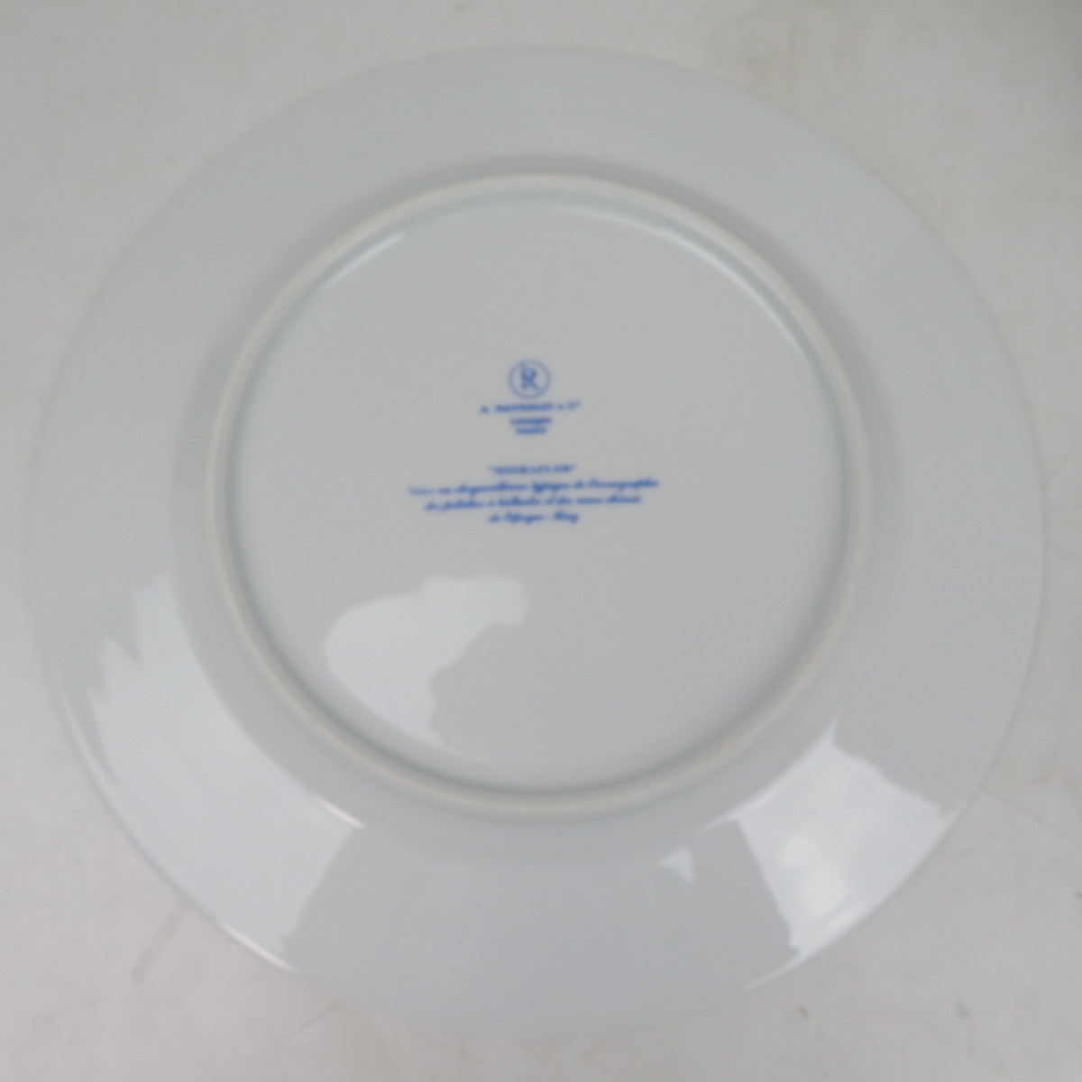 【10点まとめ】 レイノー A.RAYNAUD リモージュ LIMOGES MIORAFLOR 花絵柄 洋食器 お皿 10枚セット / 140 (007927)_画像3