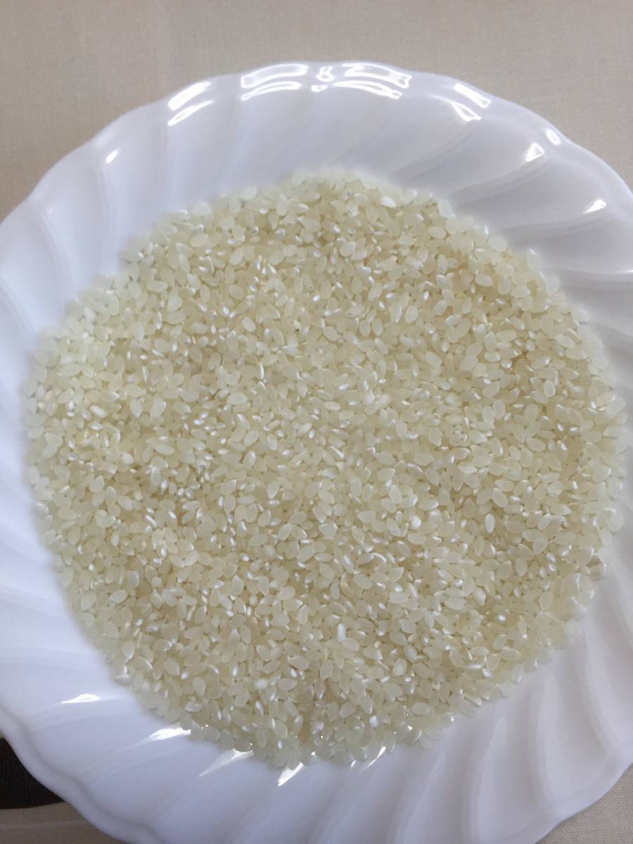 【在庫処分】令和3年新米 高食味 低農薬栽培高知コシヒカリ 無洗米20kg（10kgｘ2袋）_画像2