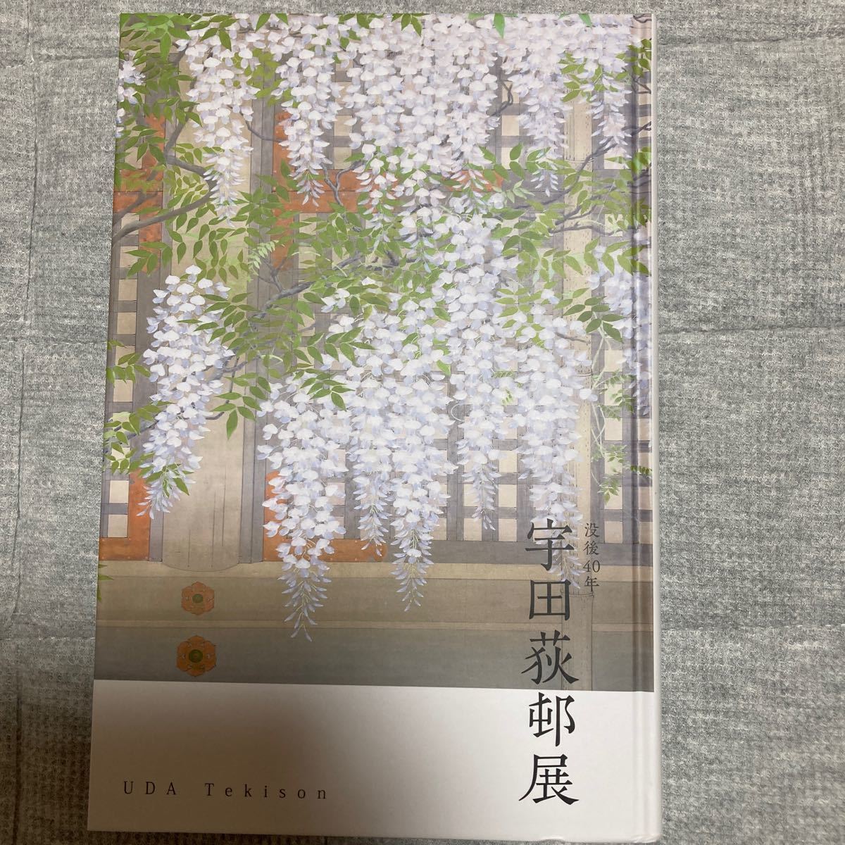 宇田荻邨 日本画集|Yahoo!フリマ(旧PayPayフリマ) 宇田荻邨 日本画集|Yahoo!フリマ(旧PayPayフリマ)