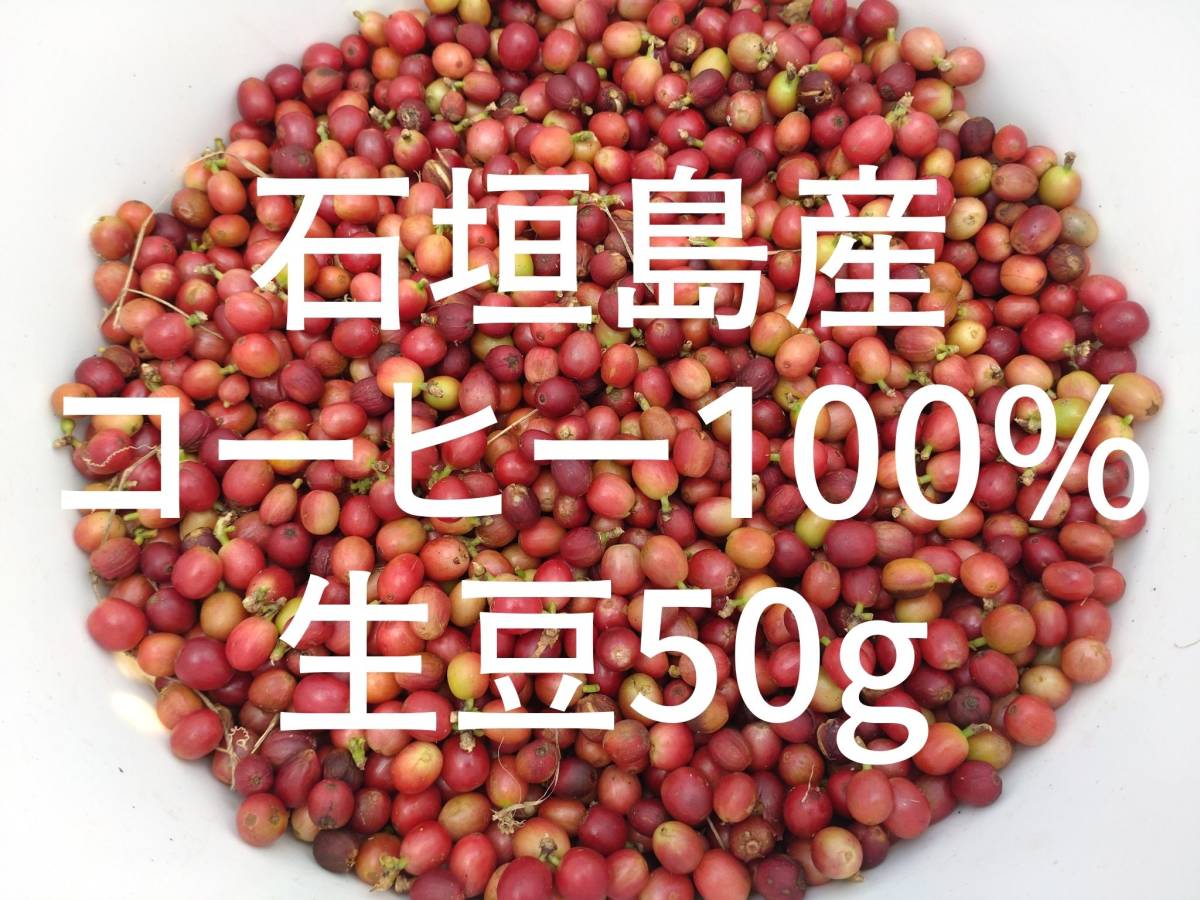 希少！【幻の石垣島産コーヒー100％】☆コーヒー生豆50g入り☆必見！国産コーヒー_画像1