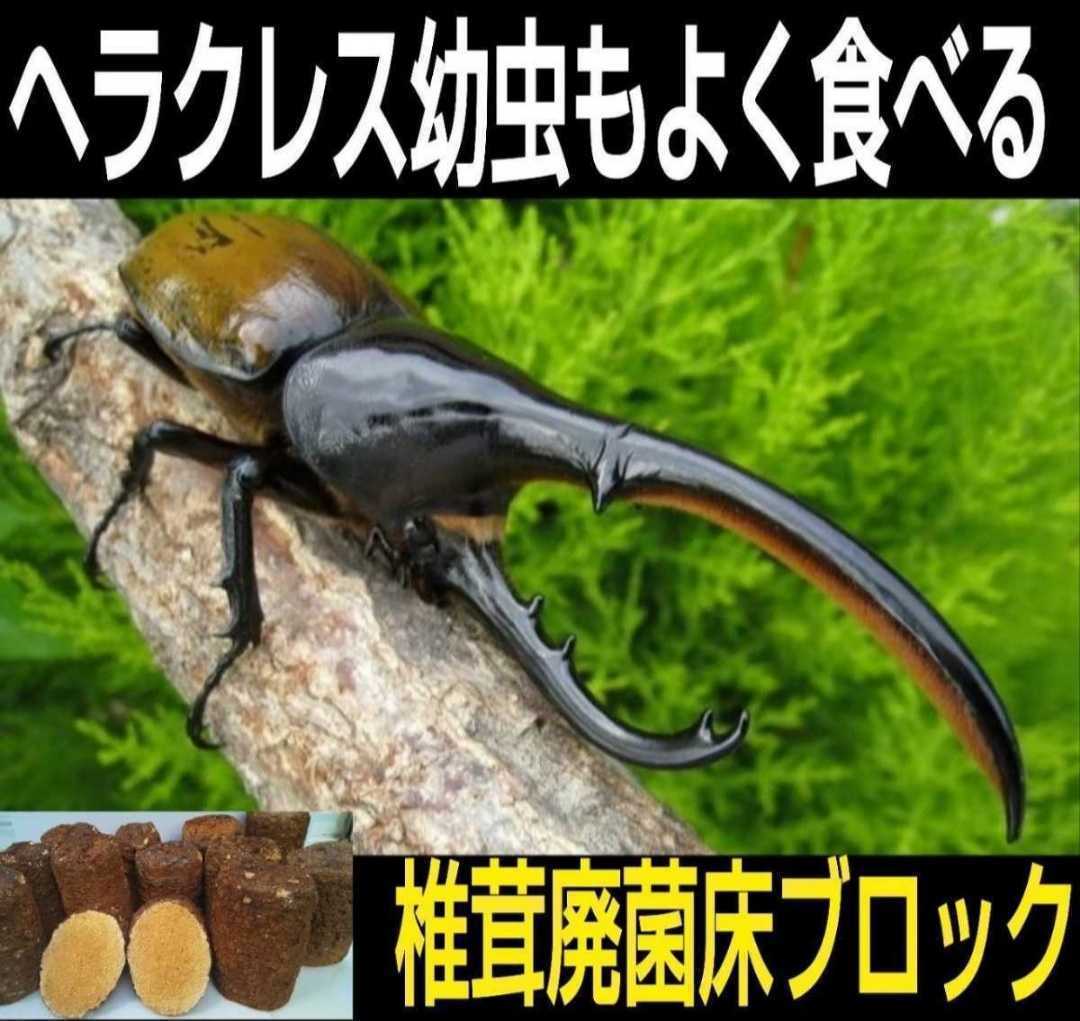 カブトムシ幼虫の栄養強化に！椎茸菌床ブロック【3個】マットに埋め込むだけで幼虫が潜り込みモリモリ食べて大きくなります！クヌギ100％_画像9