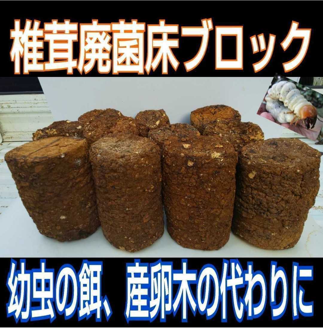 カブトムシ幼虫の栄養強化に！椎茸菌床ブロック【3個】マットに埋め込むだけで幼虫が潜り込みモリモリ食べて大きくなります！クヌギ100％_画像3