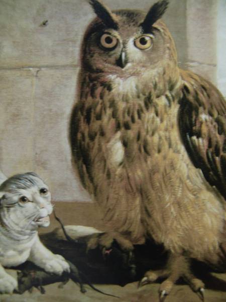  free shipping, rare book of paintings in print ., high class new goods amount * frame attaching, owl .... cat cat ..cat, picture oil painting . animal picture,38