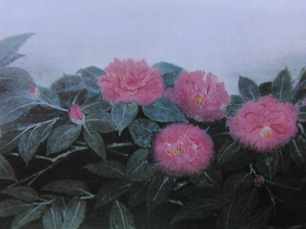  Yamamoto . person,[ cold. flower ], rare book of paintings in print ., high class new goods amount * frame attaching, free shipping 