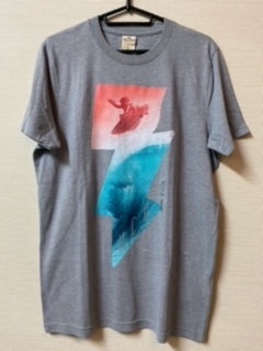 【送料無料】正規品　新品　ホリスター HOLLISTER メンズ　半袖　Tシャツ　L　グレー　_画像1