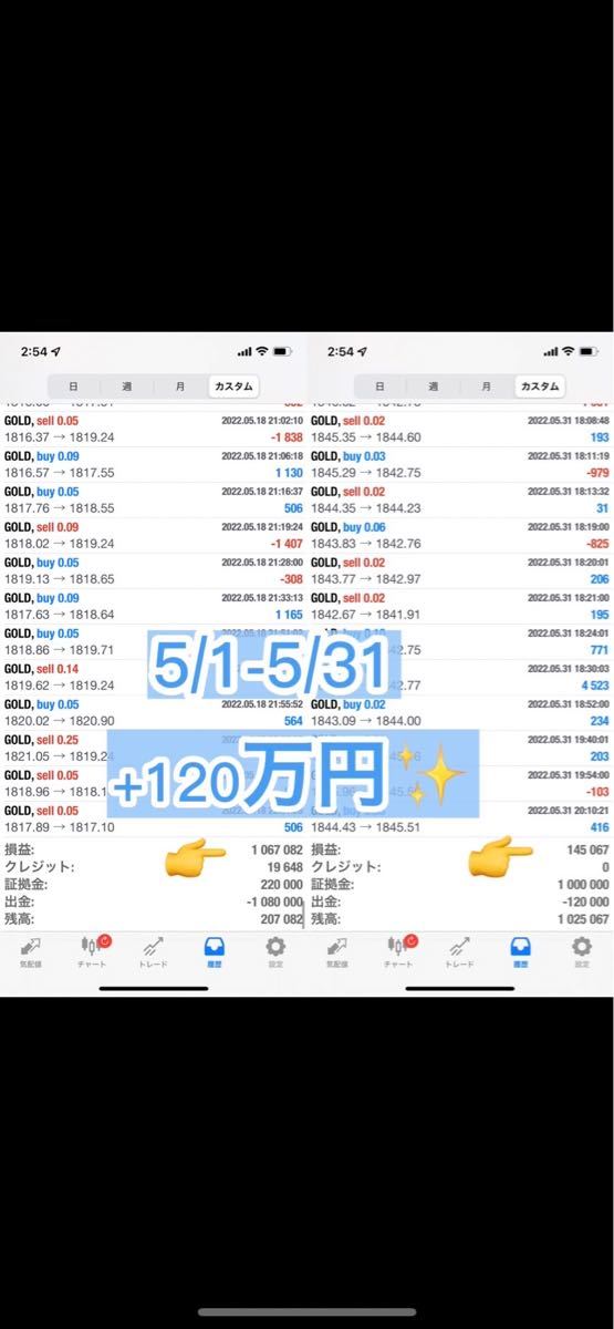 爆益自動売買」人数限定 GOLD FX自動売買 負け知らずで最強 単利 爆益自動売買」人数限定 GOLD FX自動売買 負け知らずで最強 単利