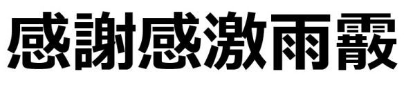 感謝感激雨霰　ドライＴシャツ　Ｓ　Ｍ　Ｌ　ＸＬ　宴会　忘年会　グッズ　面白　お笑い　感謝　漢字　ＫＡＮＪＩ_画像2