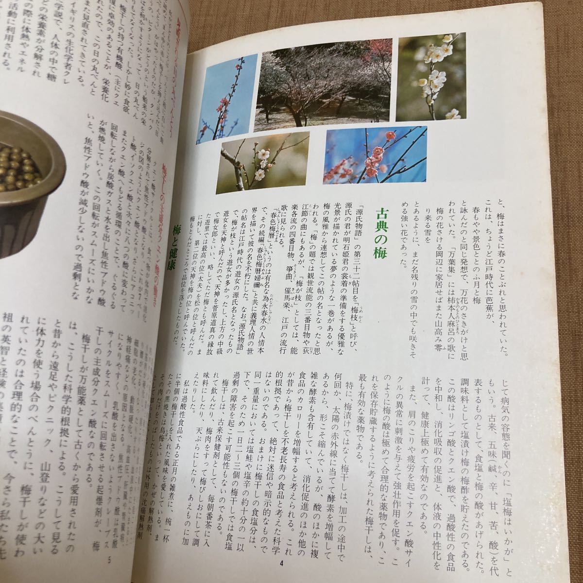 マイライフシリーズ 梅酒・梅干・梅料理 料理雑誌 1980年発行_画像3