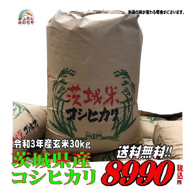 令和３年産 茨城県産 コシヒカリ 玄米30kgうまい米 米専門 みのりや