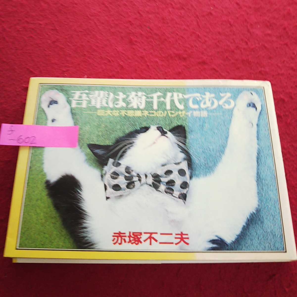 F 602 我輩は菊千代 ある 巨大な不思議ネコのバンザイ物語 赤塚不二夫 二見書房 昭和57年6月25日初版発行 10 猫 売買されたオークション情報 Yahooの商品情報をアーカイブ公開 オークファン Aucfan Com F 602 我輩は菊千代 ある 巨大な不思議ネコのバンザイ物語 赤塚不二夫 二見書房 昭和57年6月25日初版発行 10 猫 売買されたオークション情報 Yahooの商品情報をアーカイブ公開 オークファン Aucfan Com