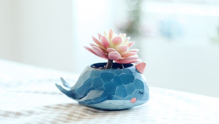  flower pot Mini planter .... face. animal cute pastel color ( blue. whale )