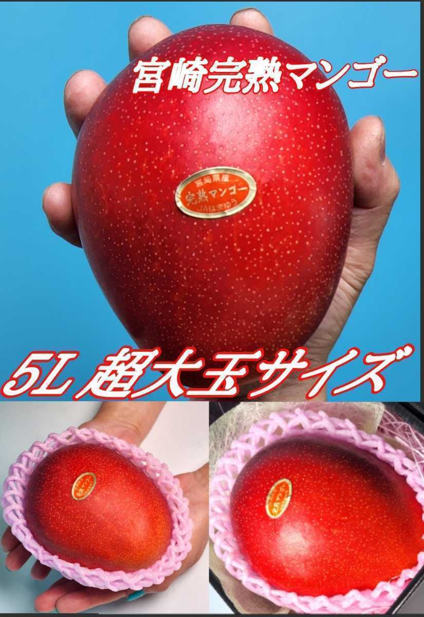 絶品 特秀品 プレミアム 宮崎完熟マンゴー 5L 化粧箱 超大玉 2個 一箱 ギフト 父の日 お中元_画像2