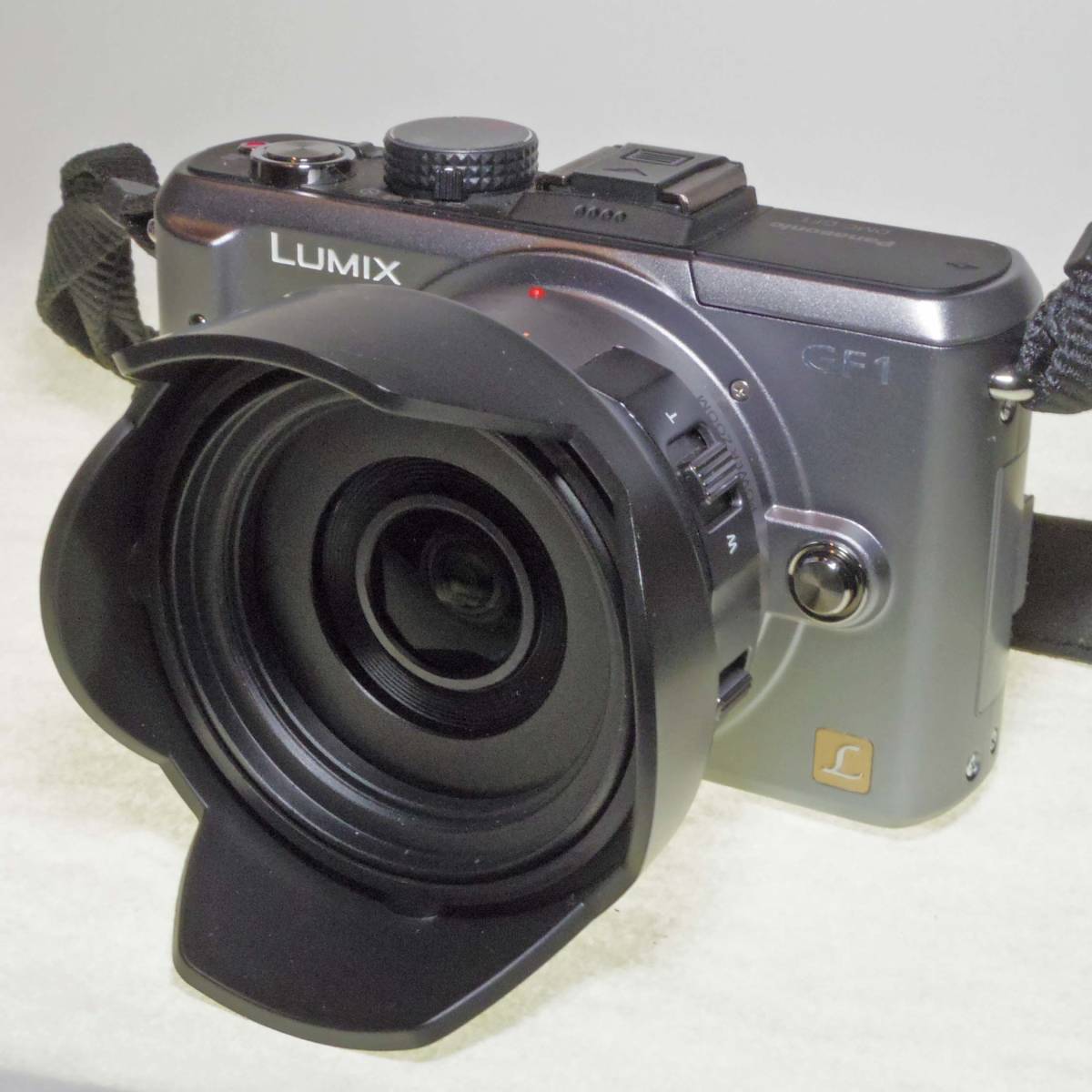 パナソニック Panasonic DMC-GF1(シルバー) H-PS14042 パワーズーム14