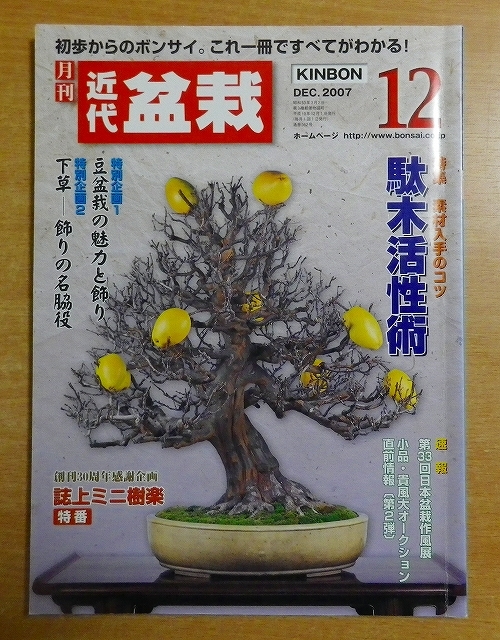 近代盆栽 2007年 12月号_画像1