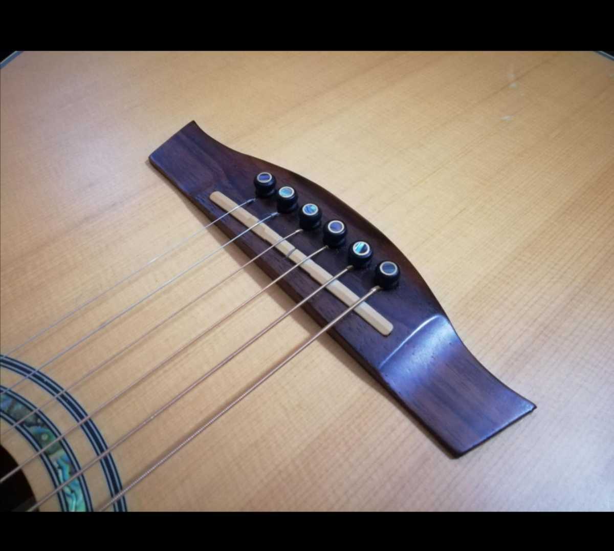 ローズウッド製 ブリッジピン 6個セット アコースティックギター ギター