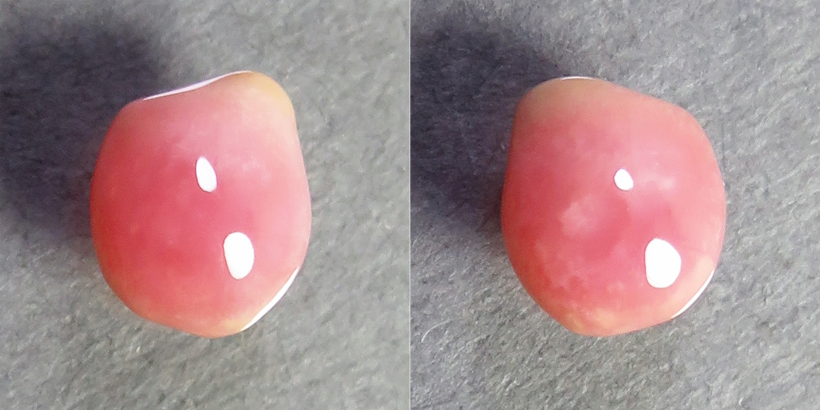 コンクパール(conch pearl) ルース(0.68ct) | sweatreno.com