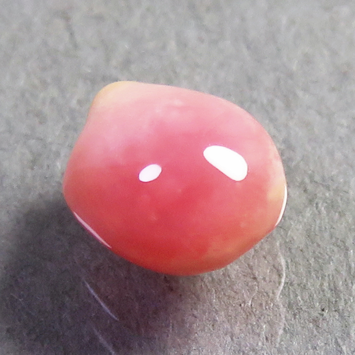 コンクパール(conch pearl) ルース(0.68ct) | sweatreno.com
