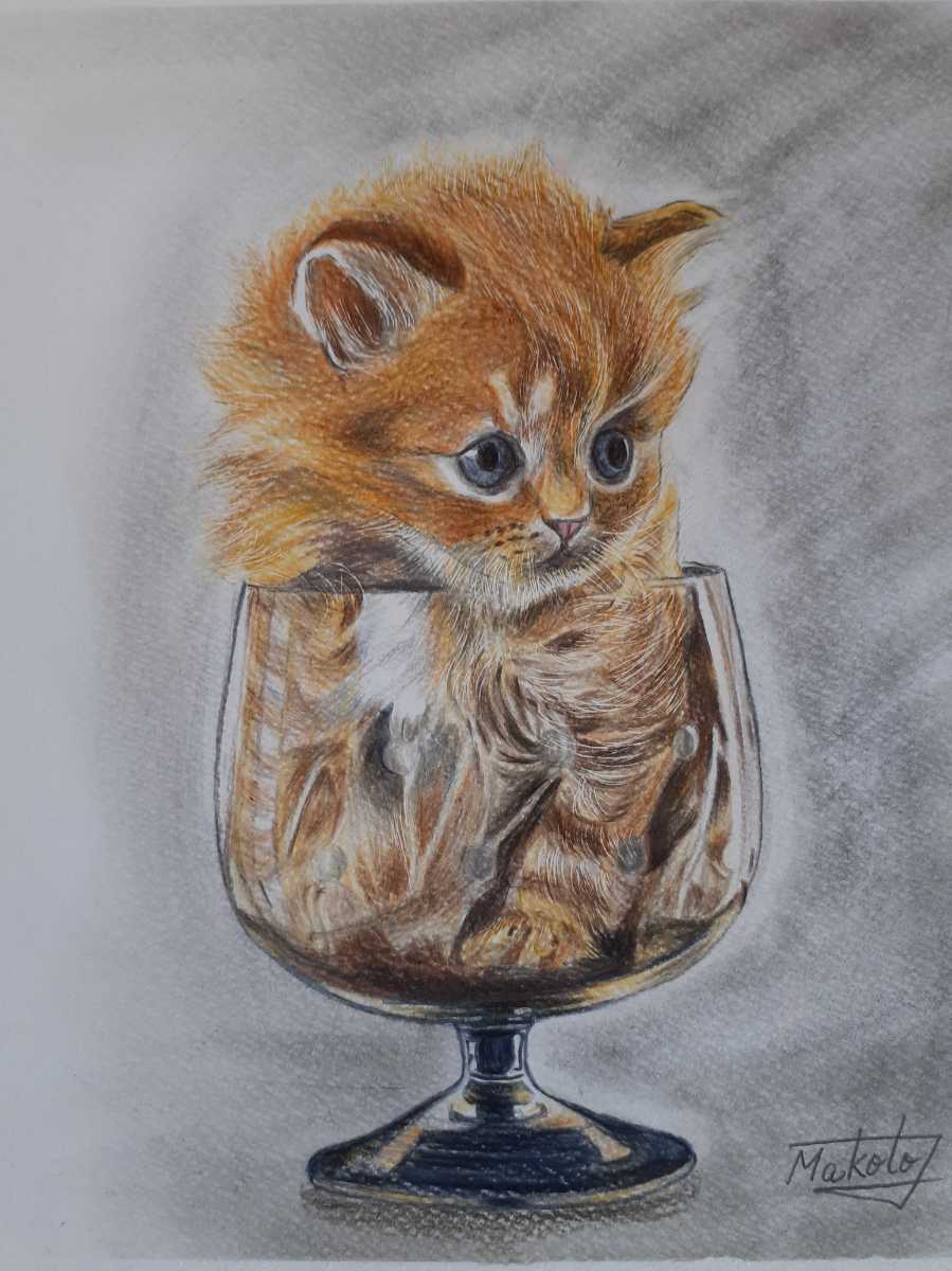 柔らかい 色鉛筆画 チョイ窮屈にゃん Www Thewalldogs Com 柔らかい 色鉛筆画 チョイ窮屈にゃん Www Thewalldogs Com