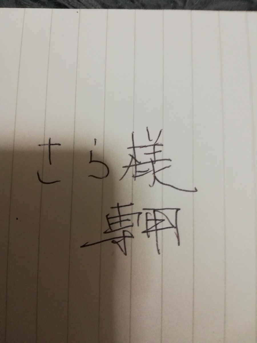 さら様専用ページ。 www.expressinter.com