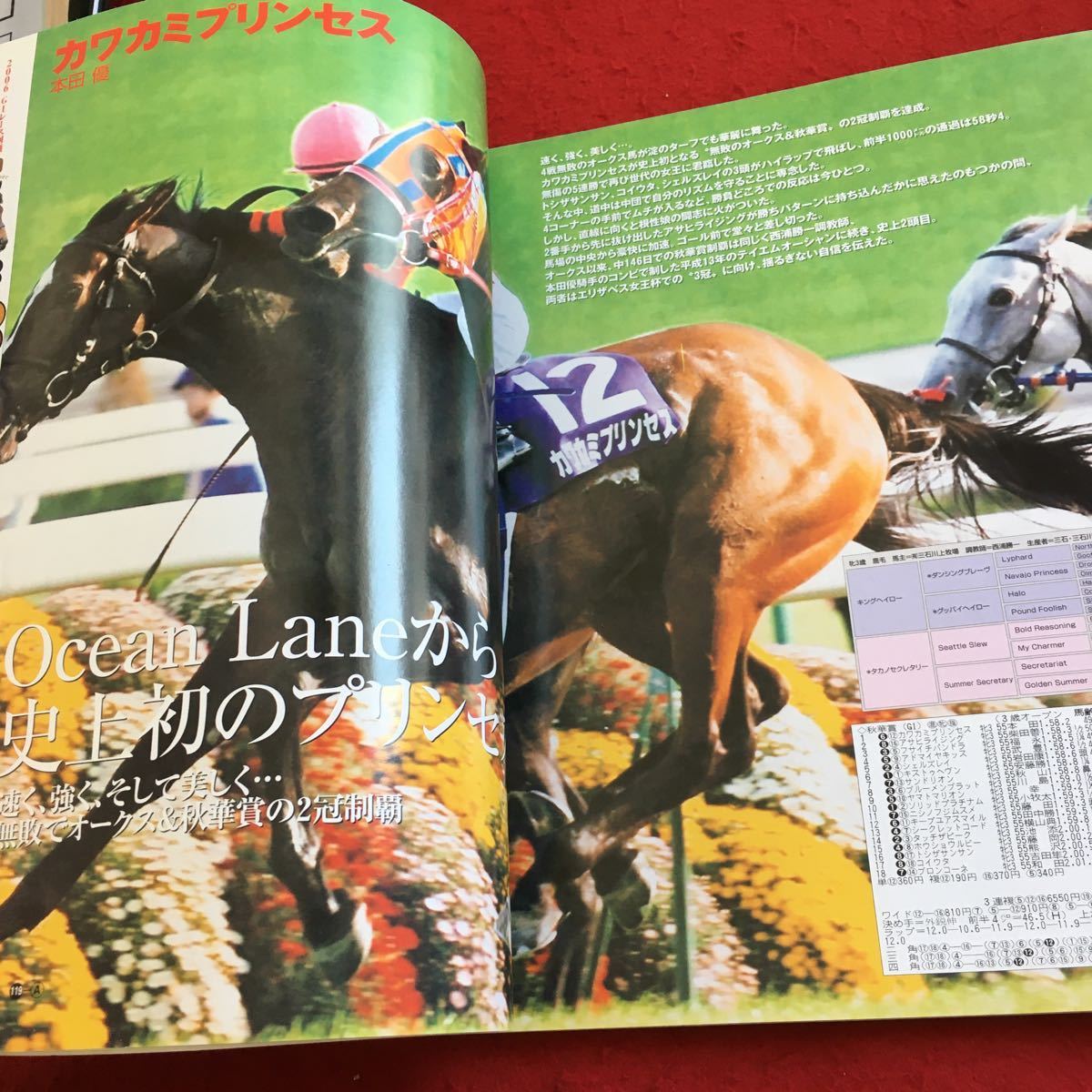 Y21-382 週刊ギャロップ 06 臨時増刊 永久保存版 JRA重賞 年鑑 ディープインパクト カワカミプリンセス ドリームジャーニー 産業経済新聞社_画像5