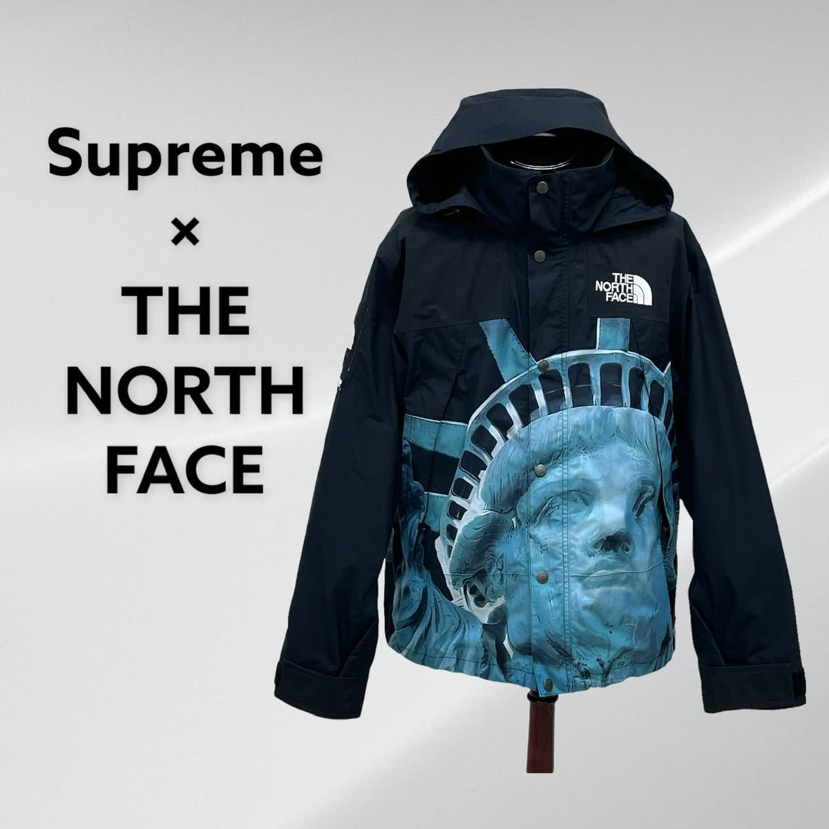 Supreme The North Face 19AW Statue of Liberty Mountain Jacket シュプリーム  ザノースフェイス 自由の女神 マウンテンジャケット