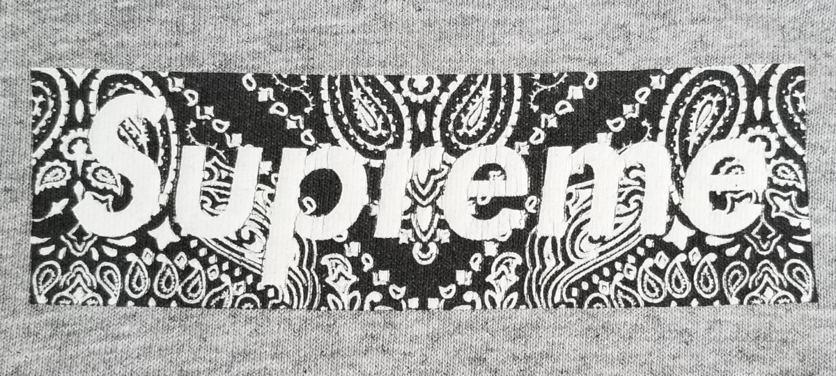 Supreme レア 初期 ペイズリー Box Logo tee シュプリーム Supreme レア 初期 ペイズリー Box Logo tee シュプリーム