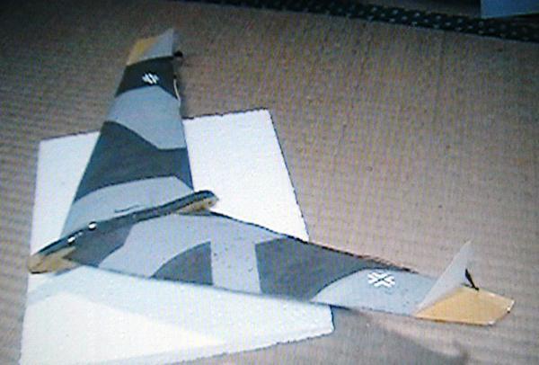 《グライダー》JETEX製 EVG Flying Wing(L/C仕様)（翼長：27.4”=695mm）・・・残り1_画像2