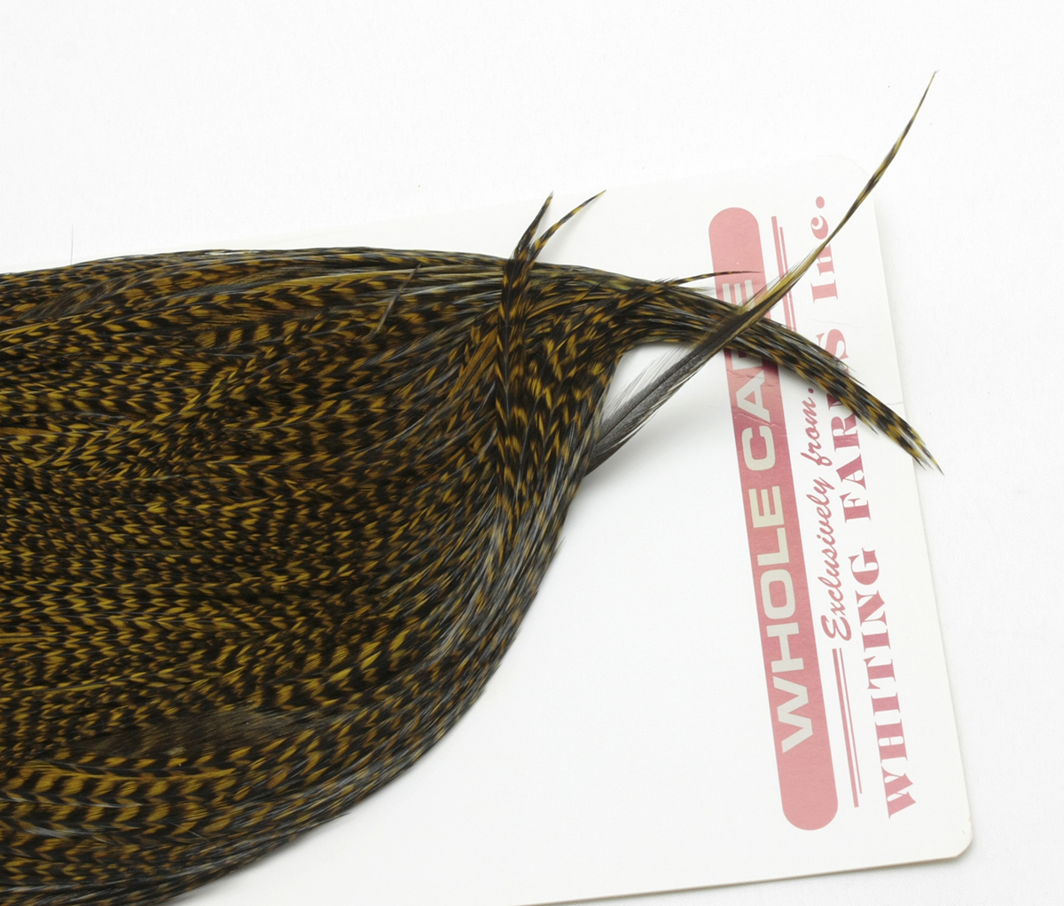 Yahoo!オークション - WHITING ホワイティング コックネック
