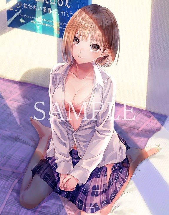 ブルーリフレクション 帝 布ポスター2枚セット 白井日菜子 星崎 ブルーリフレクション 帝 布ポスター2枚セット 白井日菜子 星崎