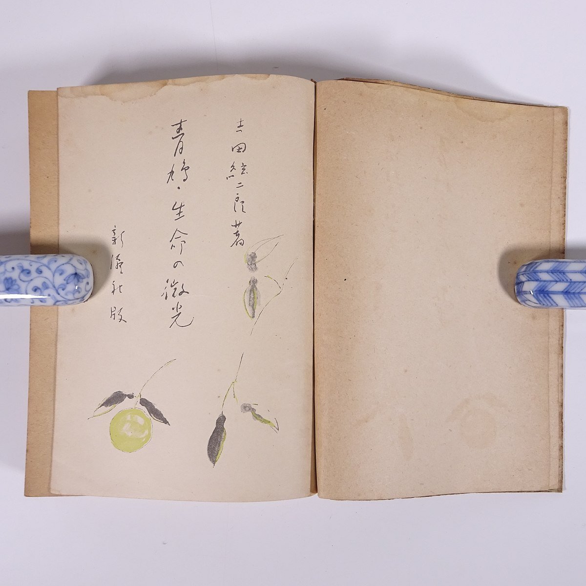 青鳩・生命の微光 吉田絃二郎感想選集 第八巻 新潮社 昭和一六年 1941 古書 単行本 文学 文芸 小説 随筆 随想 エッセイ_画像5