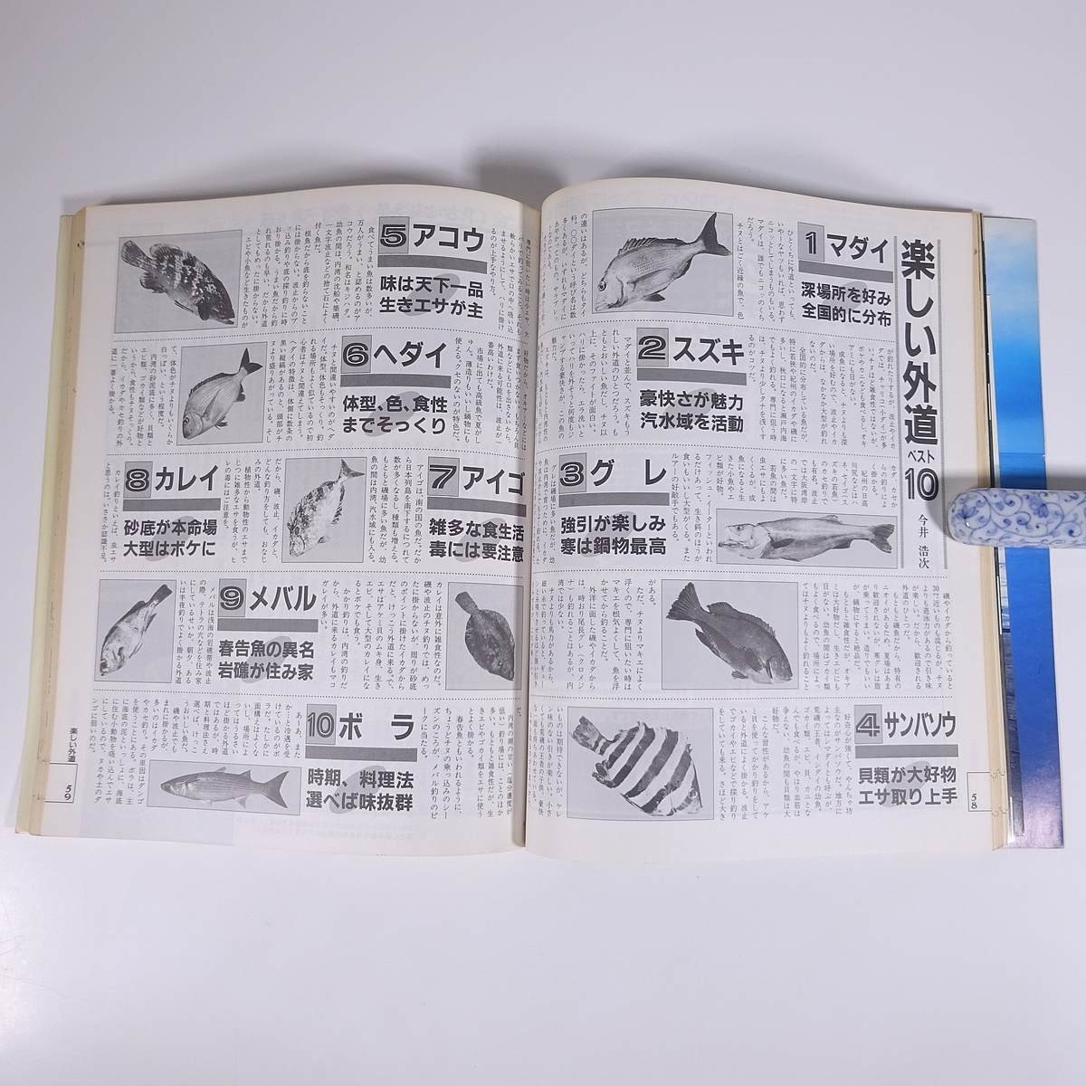 新 チヌ クロダイのすべて 新魚シリーズ1 週刊釣りサンデー別冊 1987 大型本 つり 釣り フィッシング_画像9