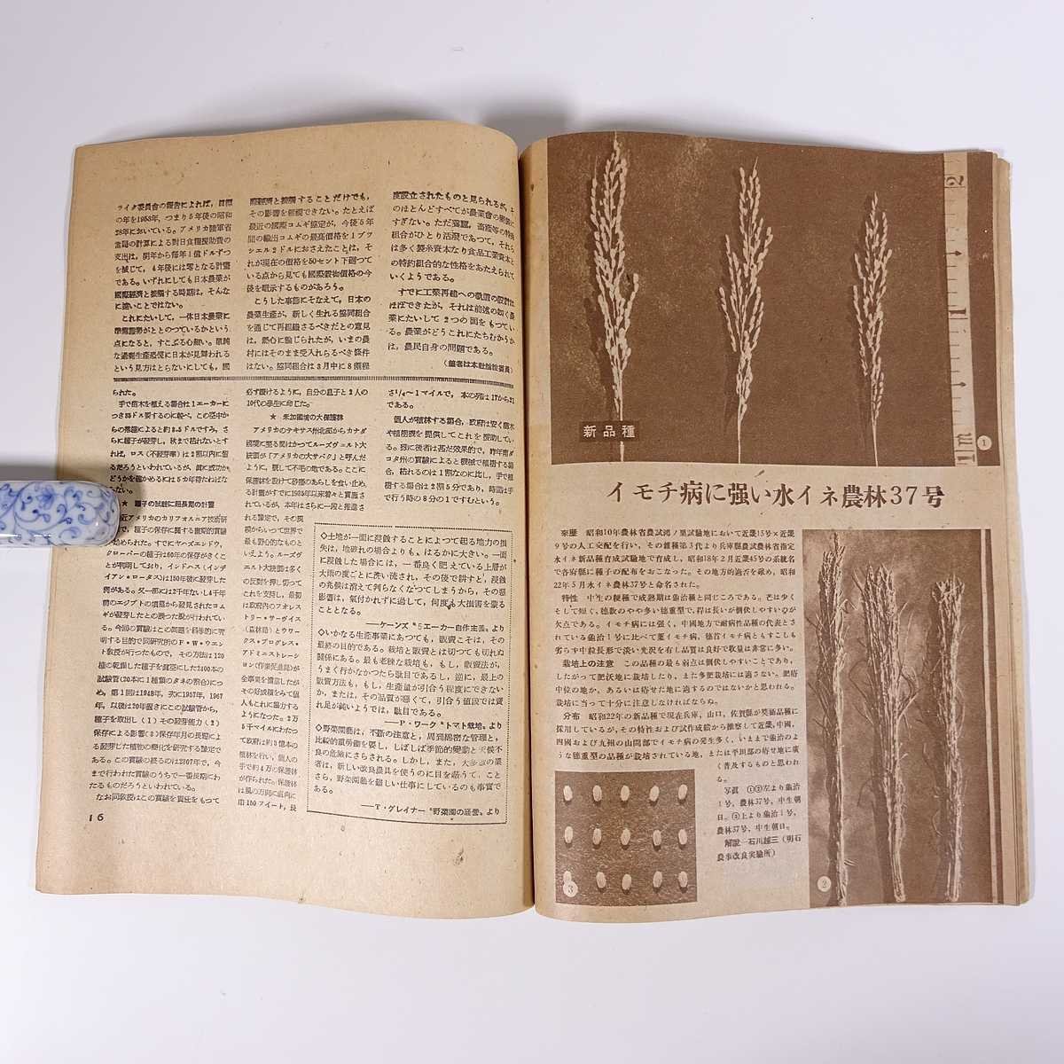  agriculture morning by day volume no. 29 number 1948/5 morning day newspaper Tokyo head office Showa era two three year 1948 old book magazine agriculture agriculture agriculture house special collection *.. beforehand break up present to demand another 