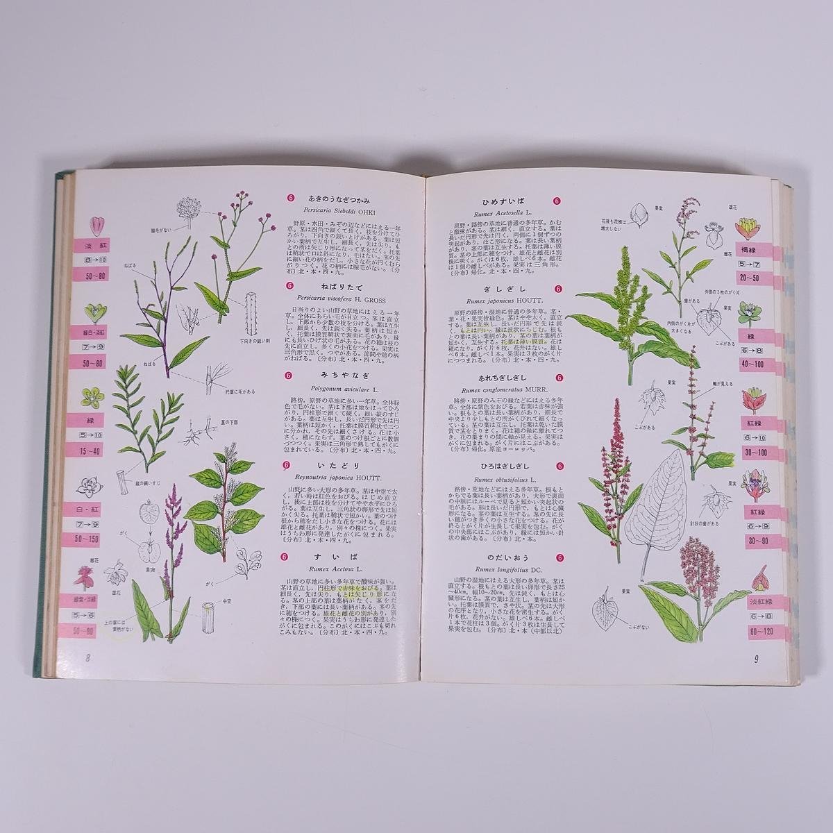 . color plant search illustrated reference book arrow .. stone door . north . pavilion 1962. entering separate volume illustrated reference book map version llustrated book biology plant .