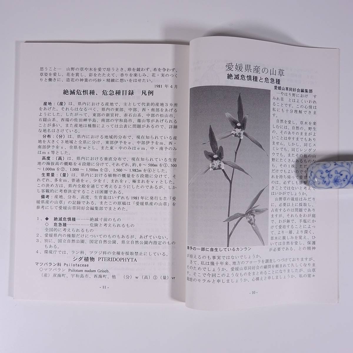 山草 36号 愛媛山草同好会 1997 小冊子 表紙絵・西野太郎 郷土本 植物 野草 草花 ソバの周辺 シコクカッコウソウ パフィオの育種 ほか_画像8