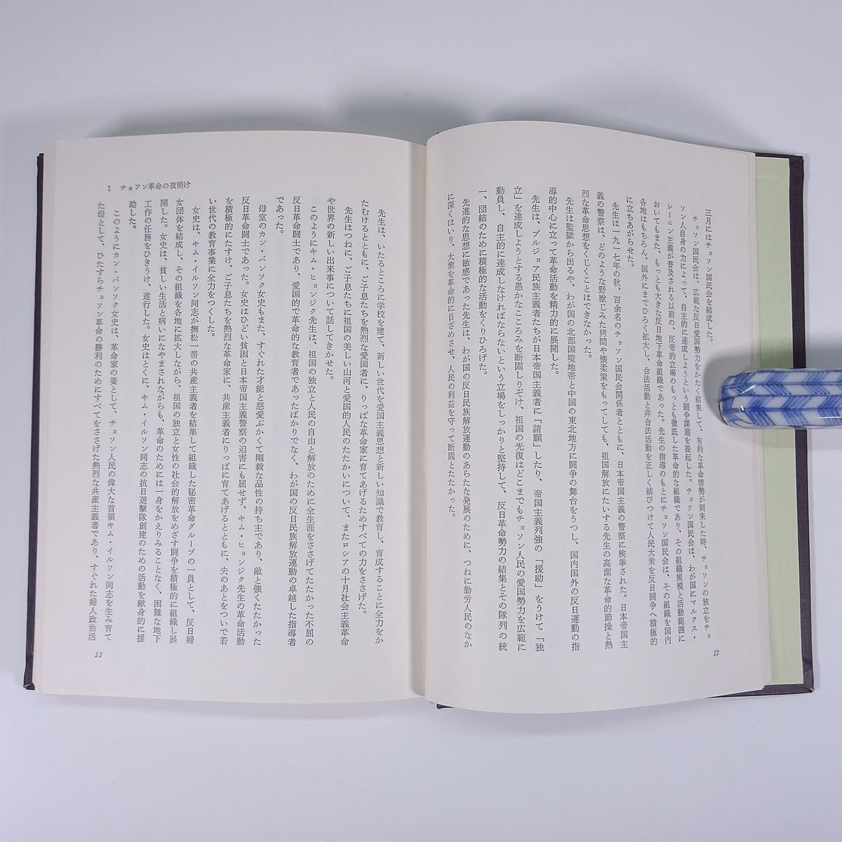 金日成同志の革命活動 英雄とその闘争の歴史 翻訳委員会訳 雄山閣 1972 函入り単行本 北朝鮮 伝記 人物伝 キム・イルソン_画像9