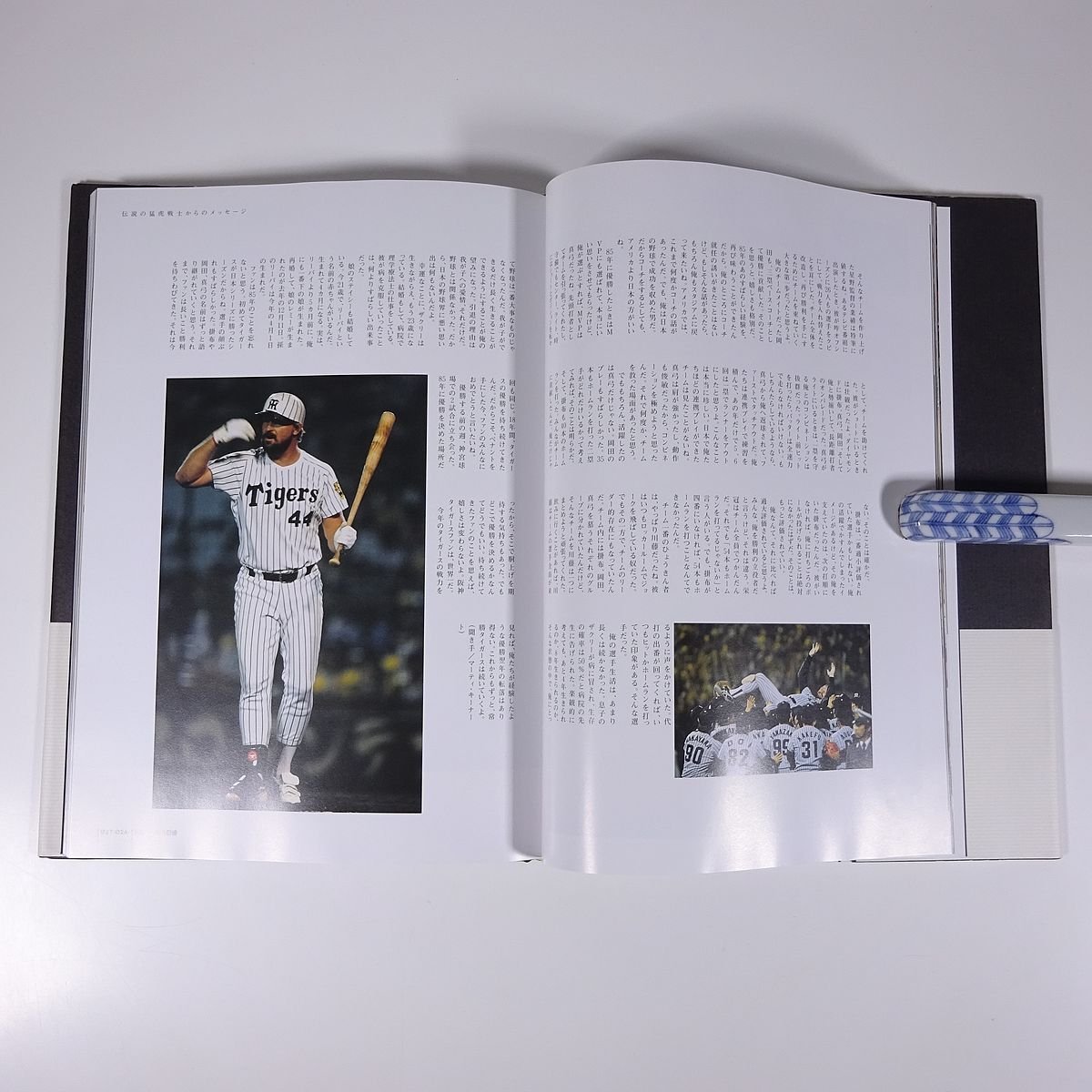 阪神タイガース 2003 猛虎の記憶 ベースボール・マガジン社 大型本 写真集 プロ野球_画像6