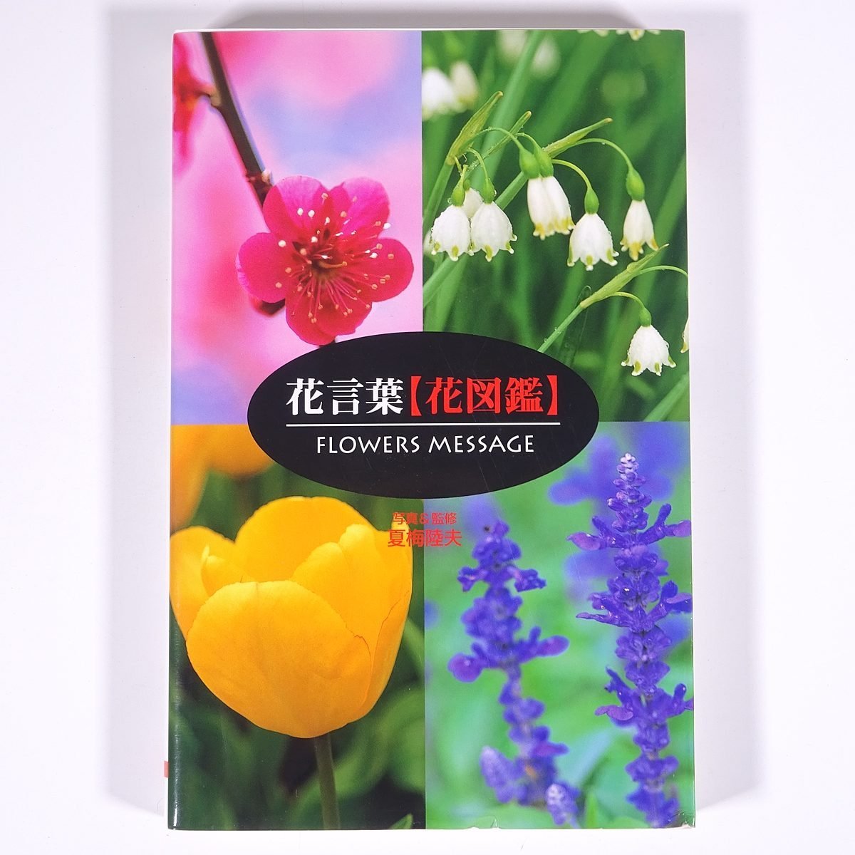 花言葉【花図鑑】 FLOWERS MESSAGE 写真＆監修・夏梅陸夫 オーイズミ 大泉書店 2012 単行本 郷土本 植物 野草 草花 図版 図録_画像1