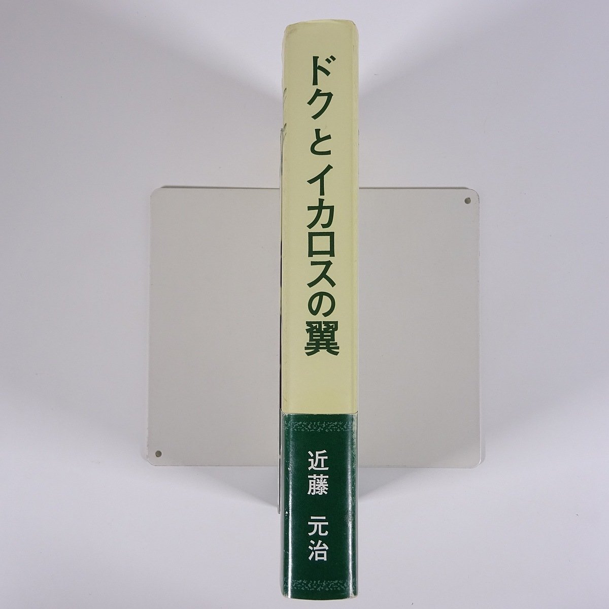 ドクとイカロスの翼 近藤元治 いわはし書店 真田堂 2009 単行本 文学 文芸 小説_画像3