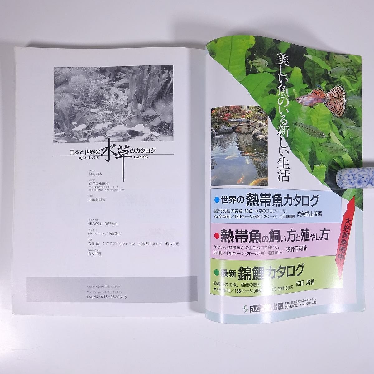 日本と世界の水草のカタログ 成美堂出版 1992 大型本 アクアリウム_画像10