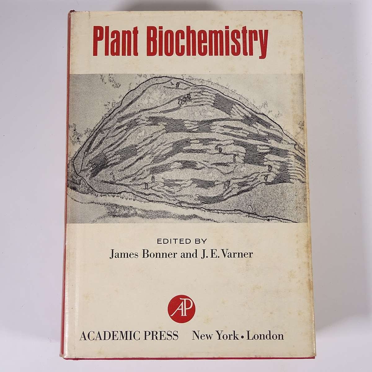 【英語洋書】 Plant Biochemistry 植物生化学 James Bonner ジェームズ・ボナーほか 1967 単行本 生物学 化学 植物学_画像1