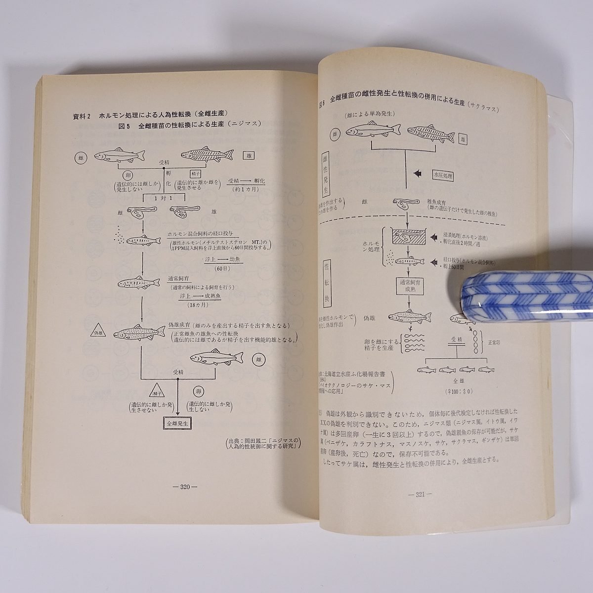 産業教育 臨時増刊 1988/3 文部省 雇用問題研究会 雑誌 学校 教育 教師 教職 特集・高等学校における今後の職業教育の在り方について_画像9