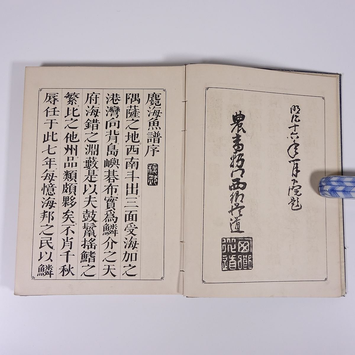 麑海魚譜 鹿海魚譜 編纂・白野夏雲 写生・木脇啓四郎/二 麑海魚譜 鹿海魚譜 編纂・白野夏雲 写生・木脇啓四郎/二
