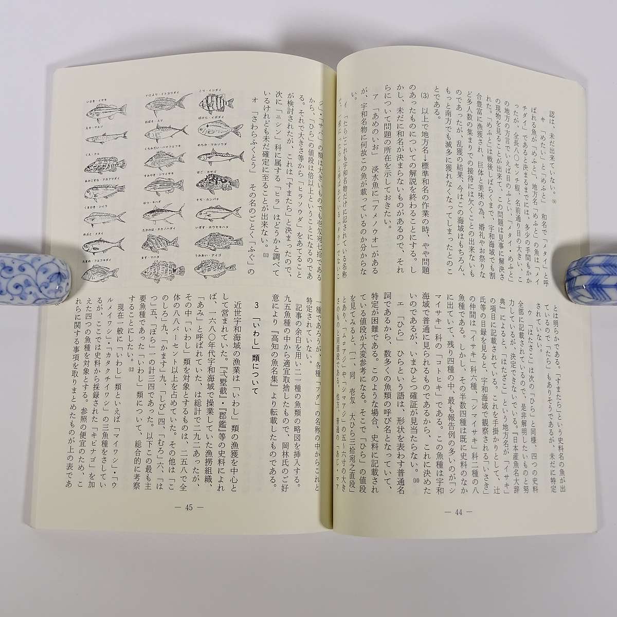 文化愛媛 第21号(改訂版) 愛媛県文化振興財団 1989 小冊子 郷土本 特集・懸賞論文入賞作品 子規を継ぐもの 近世初期宇和海における魚類 他_画像9