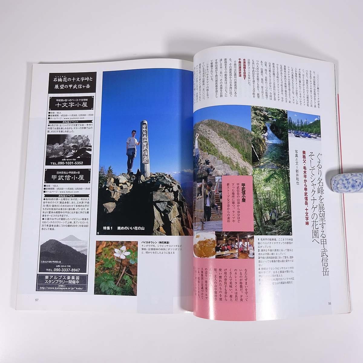 山の専門誌 岳人 別冊 2006/4 東京新聞出版局 雑誌 旅行 観光 登山 山登り 山岳 ハイキング 春山2006 特集・萌え出る花々 ほか_画像8